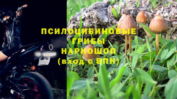 ПСИЛОЦИБИНОВЫЕ ГРИБЫ Баксан